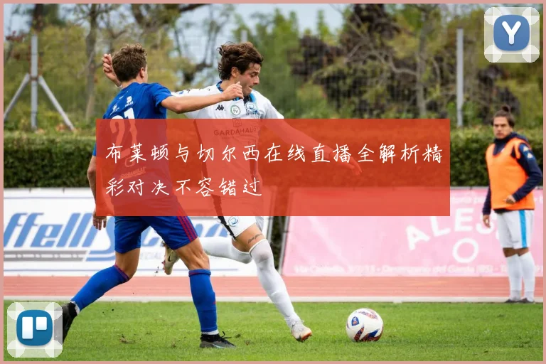 布莱顿与切尔西在线直播全解析精彩对决不容错过