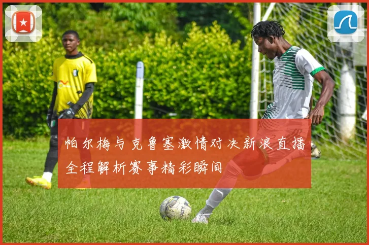 帕尔梅与克鲁塞激情对决新浪直播全程解析赛事精彩瞬间