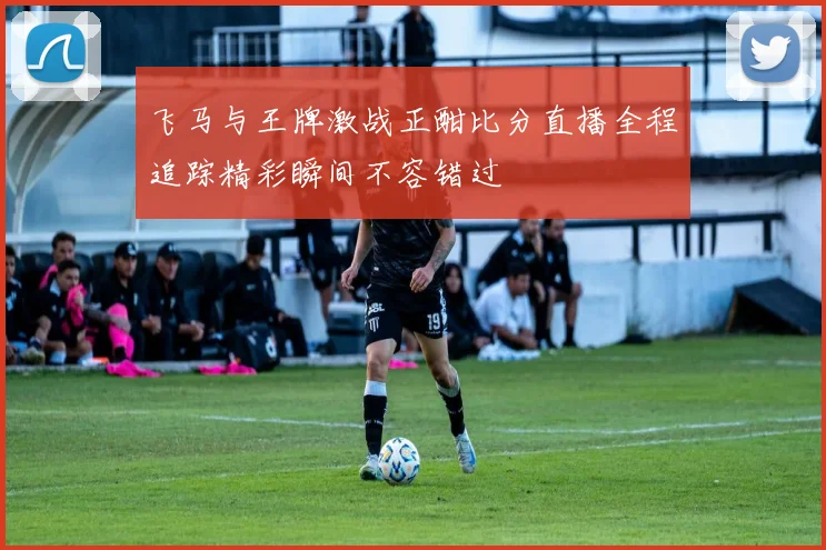 飞马与王牌激战正酣比分直播全程追踪精彩瞬间不容错过