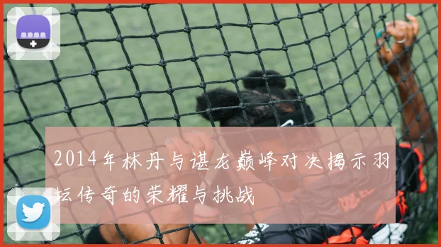 2014年林丹与谌龙巅峰对决揭示羽坛传奇的荣耀与挑战